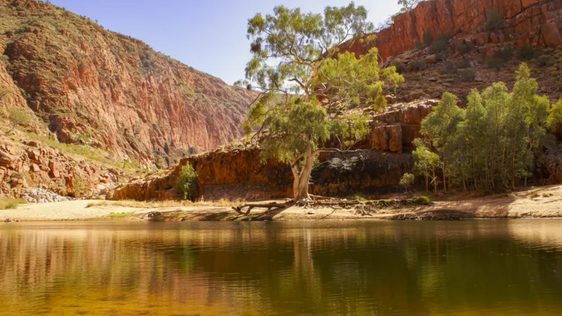 Ormiston Gorge – Waterhole & Walks(2)
