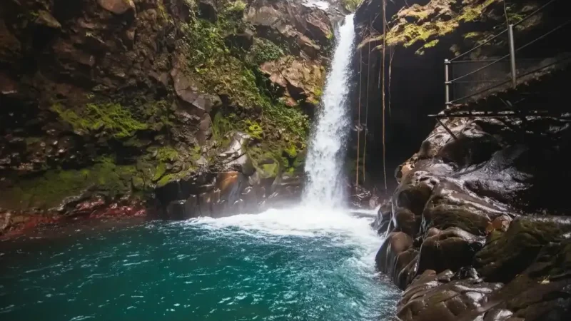 Oropendola_Waterfall4