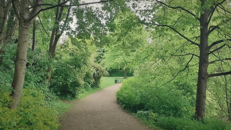 Østre Anlæg Park – Green walking paths(3)