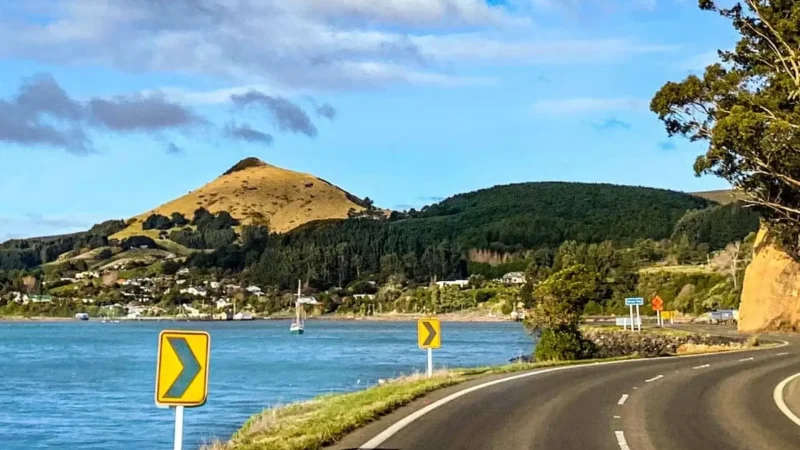 Otago_Peninsula_тАУ_Wildlife_&_Coastal_Scenery_01