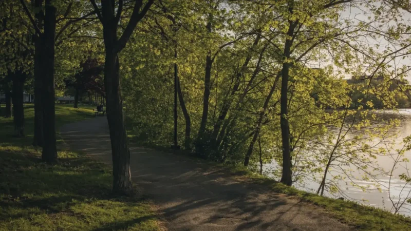 Ottawa River Pathway – Scenic cycling and walking route(3)