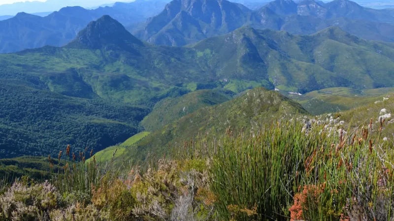 Outeniqua_Mountains_тАУ_Mountain_scenery_and_viewpoints_02