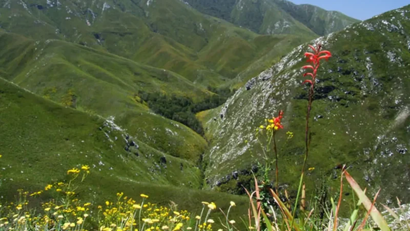 Outeniqua_Pass_тАУ_Scenic_mountain_drive_02