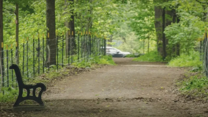 Outremont Side Trails – Quiet routes(3)