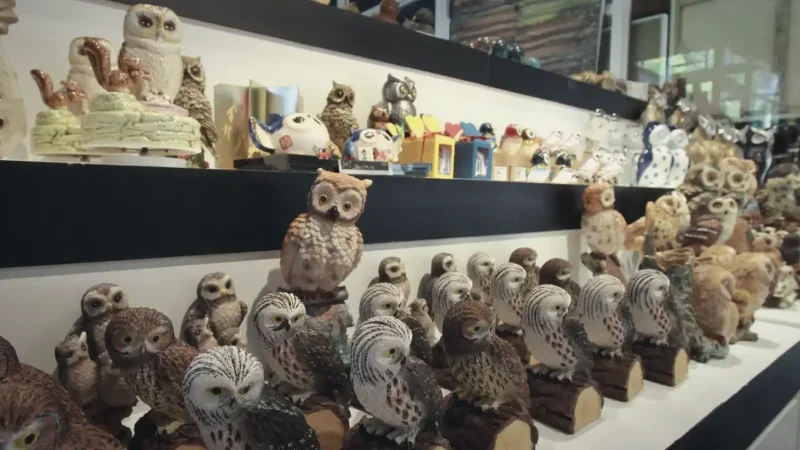 Owl Museum(4)