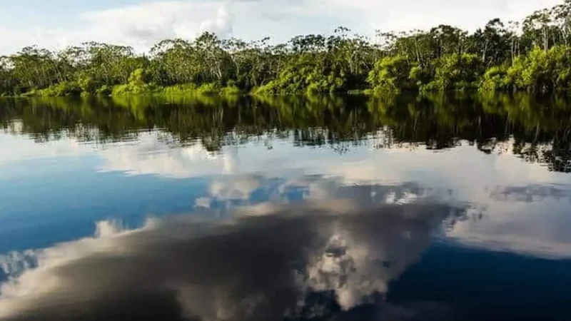 Ox-bow_Lakes_–_Calm_water_ecosystems__03