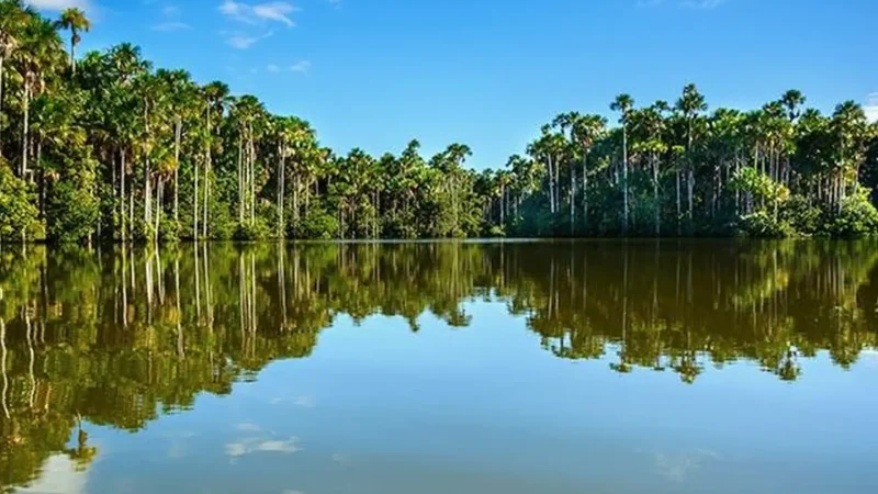 Oxbow_Lakes_–_Calm_wildlife_habitats__01