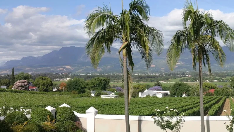 Paarl_Winelands_тАУ_Mountain-backed_vineyards_01