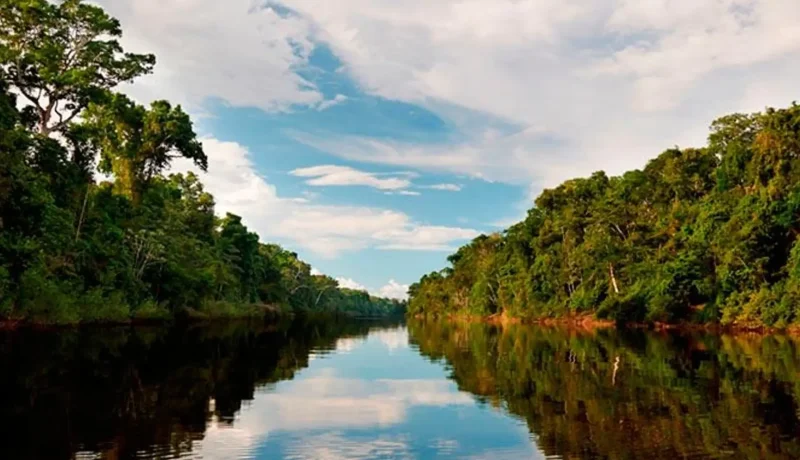 Pacaya_River_–_Wildlife-rich_river_system__05
