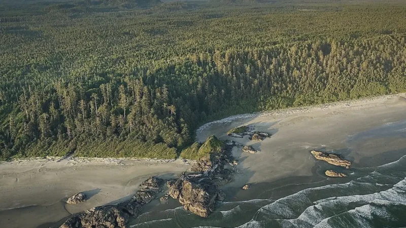 Pacific Rim National Park Reserve – Rainforest + coast(3)