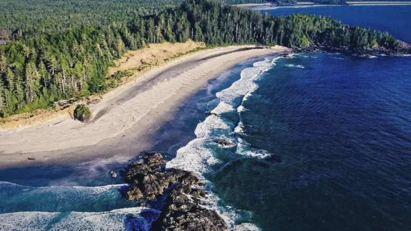 Pacific Rim National Park Reserve – Rainforest + coast(4)