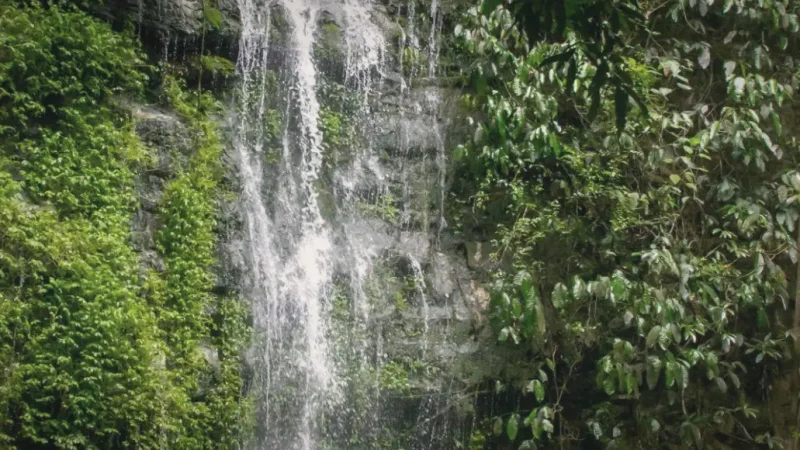 Paku Waterfall(5)
