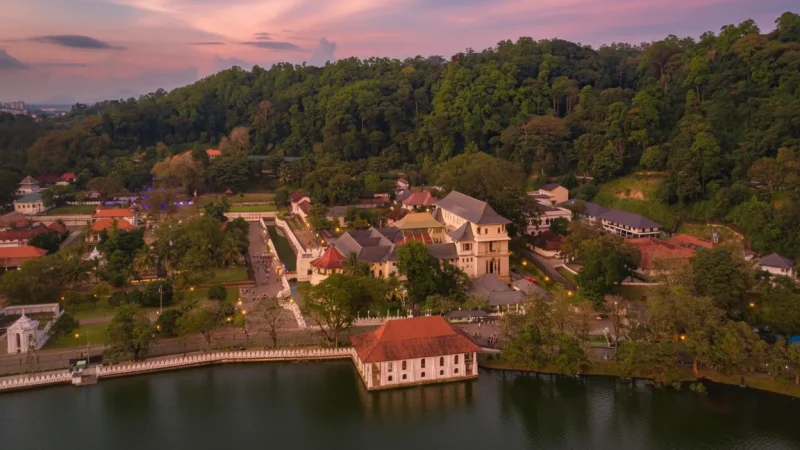 Palace Viewpoints – Elevated Scenic Spots(3)