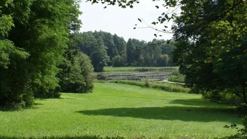 Palace_Park_01