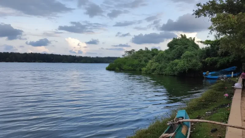 Palameenmadu Lagoon 02