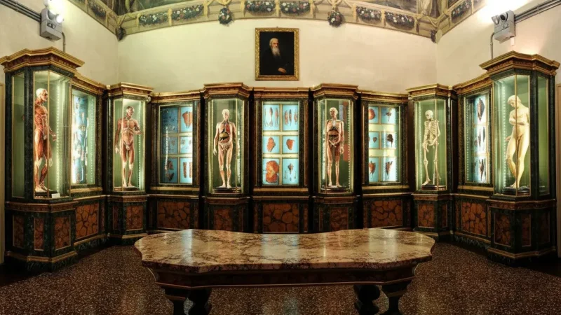 Palazzo Poggi Museum(7)