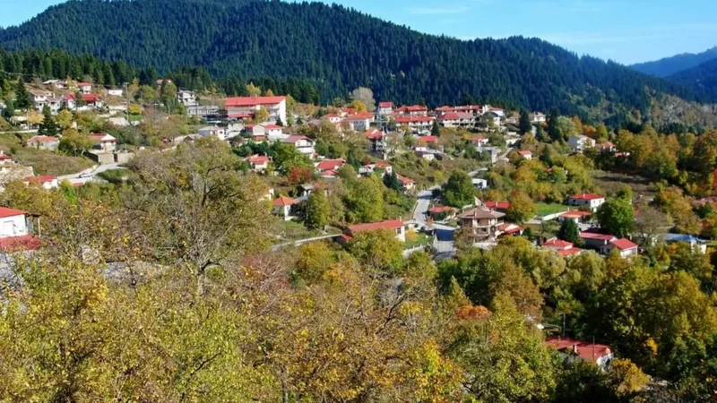 Paleokatouna_05