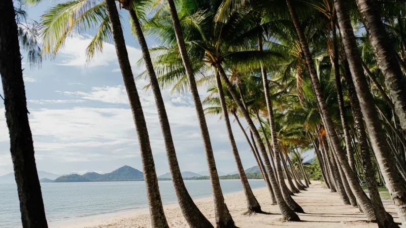 Palm Cove – Beach village(4)