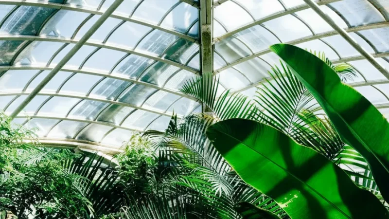 Palm House Schönbrunn – Historic Glass Greenhouse(4)