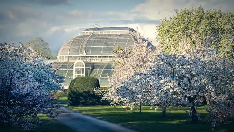 Palm House(6)