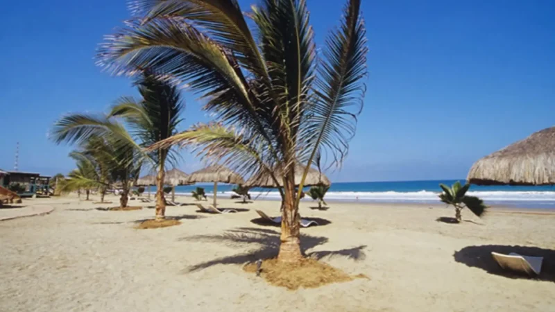 Palm-Shaded_Beaches_–_Natural_shade_areas__05