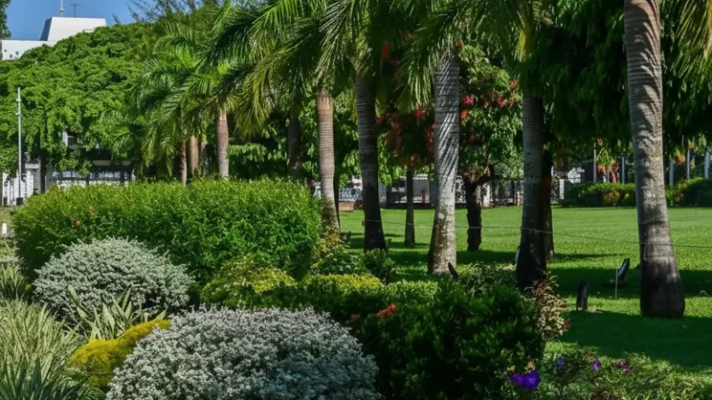 Palm Tree Avenues – Iconic Garden Scenery(2)