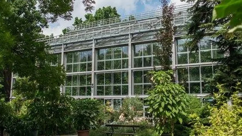 Palm_House_01