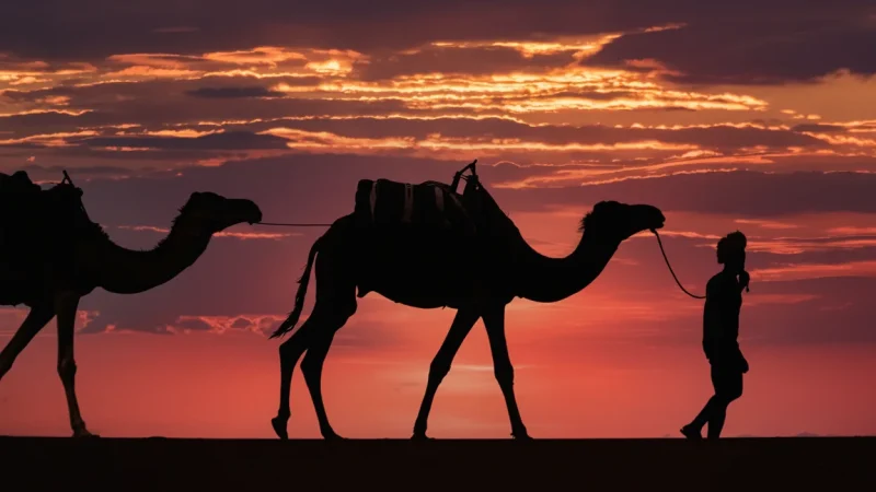 Panorama Point – Sunset Viewing Spot (Panorama Point)(4)