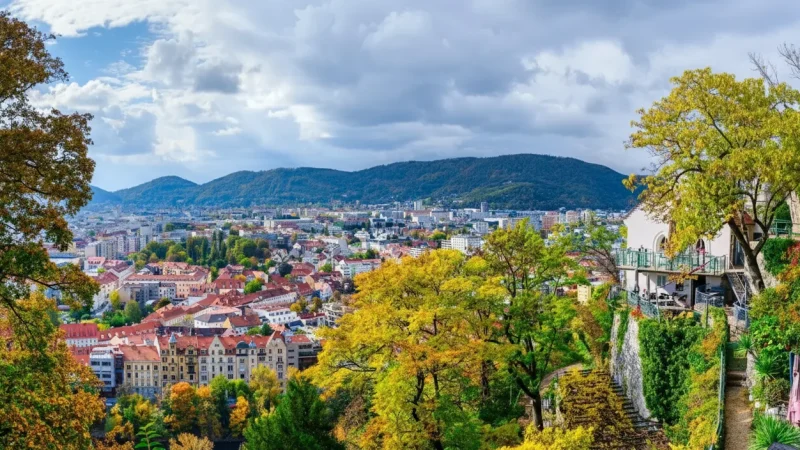 Panoramic Viewpoints – City & Hill Views(2)