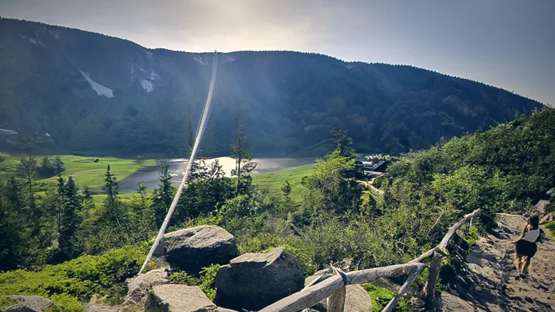 Panoramic Viewpoints(1)