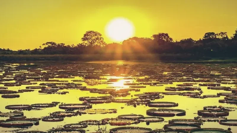 Pantanal Access Routes – Wildlife trips(6)