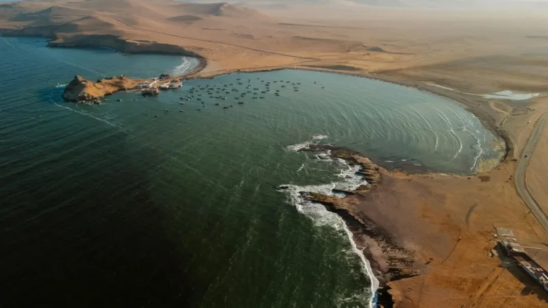 Paracas_Peninsula_–_Main_protected_desert_coastline__05