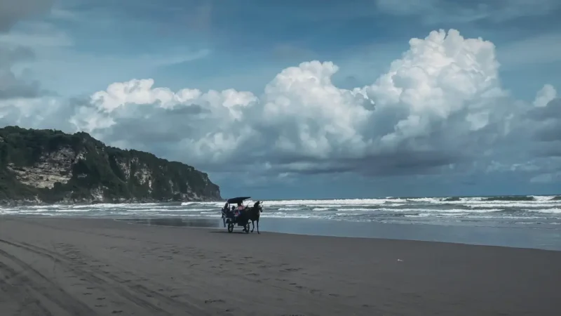 Parangtritis Beach(4)