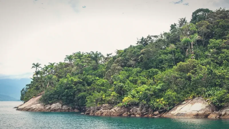 Paraty Bay – Calm waters & island views(4)
