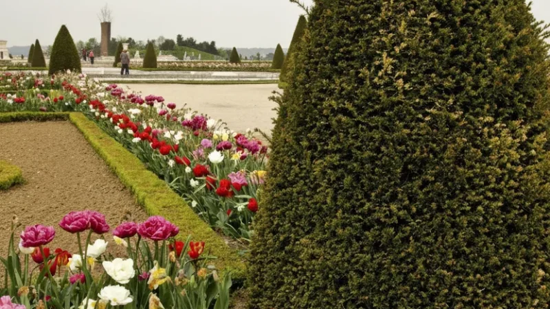 Parc Balbi – Landscaped garden in Versailles(6)