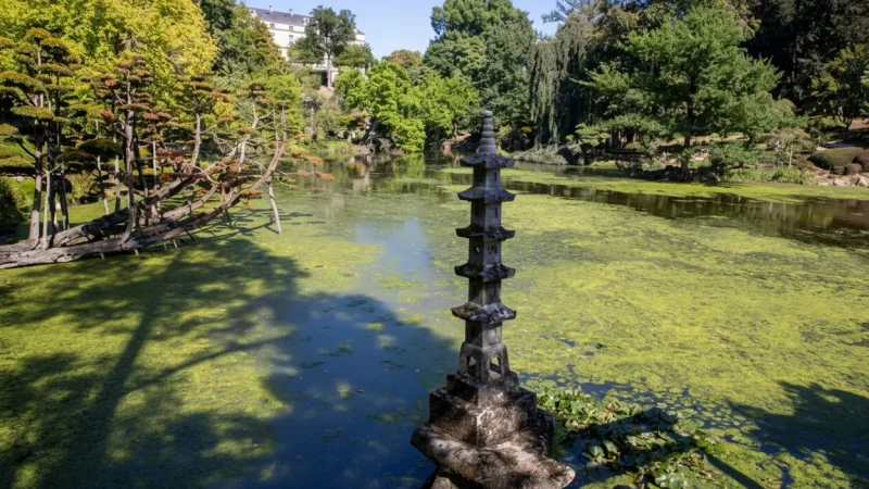 Parc Oriental de Maulévrier(1)