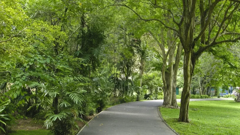 Parc forestier de la Poudrerie – Forested Park & Trails(2)