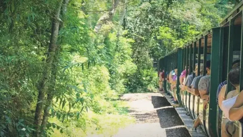 Park Train Route – Easy access transport(5)
