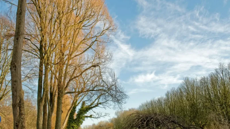 Park_Alkmaarderhout_02