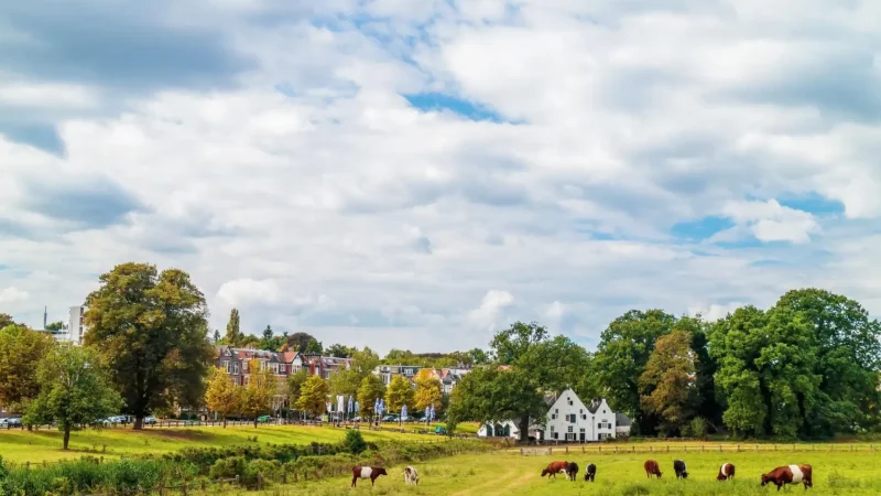 Park_Sonsbeek_02