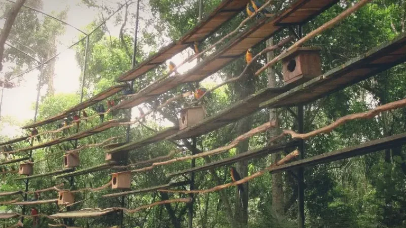 Parque das Aves Trails – Nature walk paths(1)