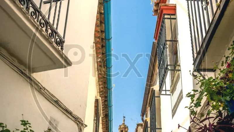 Patios of Córdoba(5)