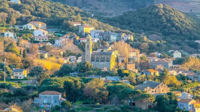 Patrimonio – Wine Region & Nature(5)