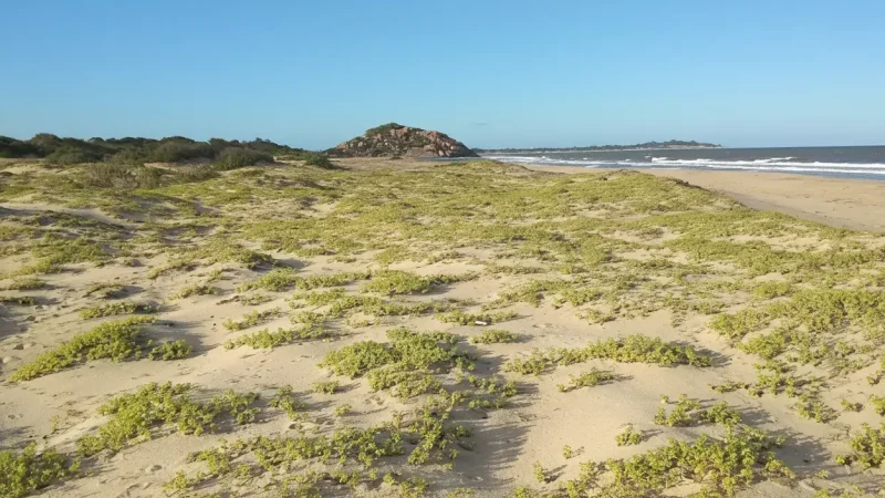 Peanut Farm Beach 01