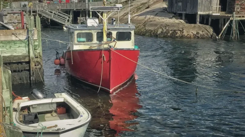Peggy’s Cove Harbour(3)