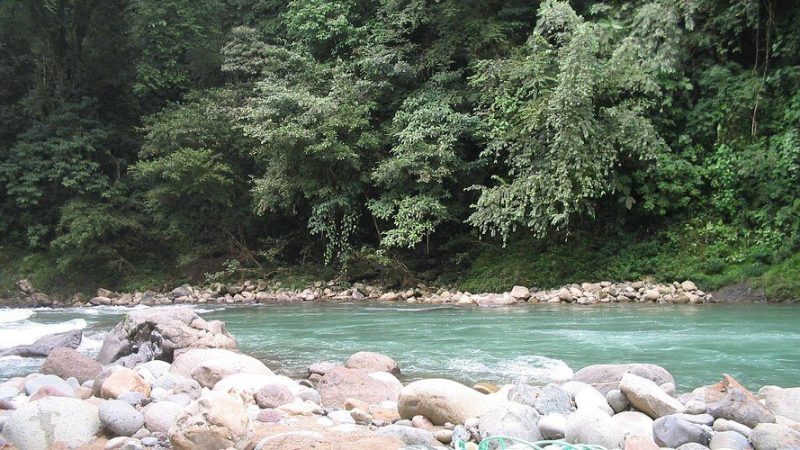 Pejibaye River3