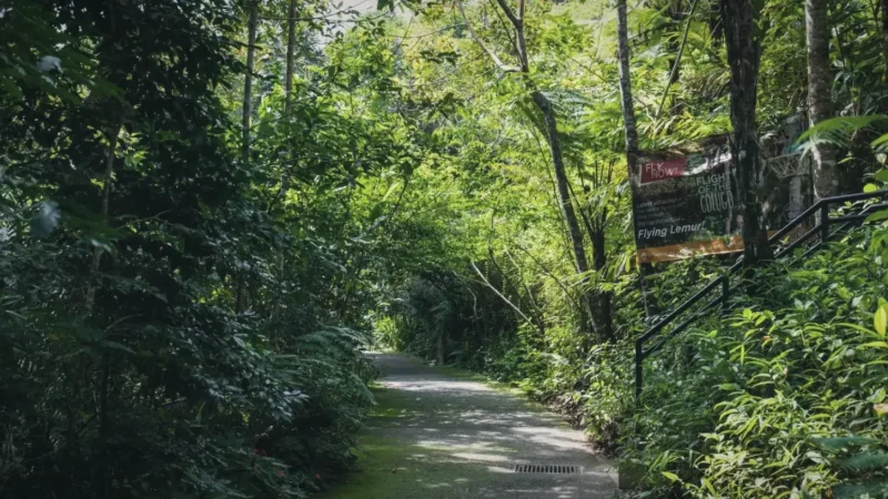 Penang Hill Heritage Trail(3)