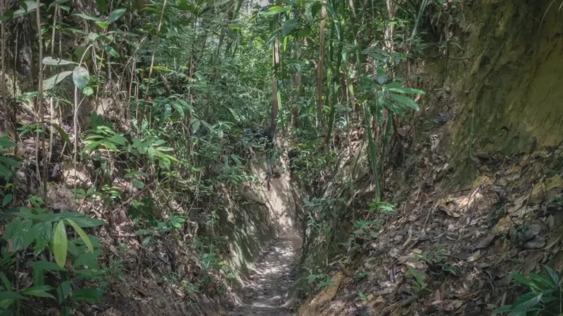 Penang National Park Entrance(2)