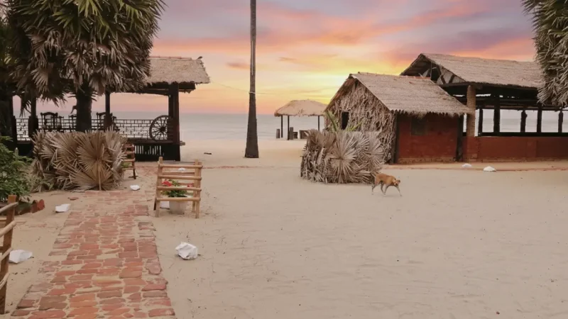 Pesalai Fishing Village 02