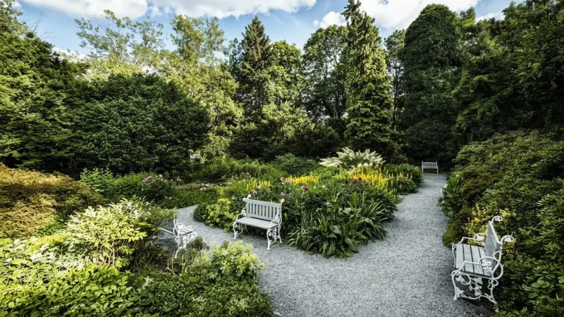Petřín Rose Garden – Seasonal Flower Garden(3)